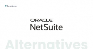 Top 7 NetSuite Alternatives That You Need To Switch To In 2024