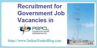PSPCL Various Job Vacancy Recruitment 2024