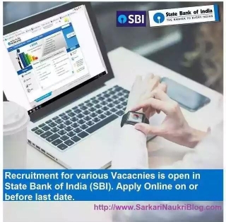 SBI Specialist Officer Vacancy Recruitment 2024