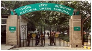 NGT Takes Suo Motu Cognizance Of Forest Fires In Nainital District In Uttarakhand