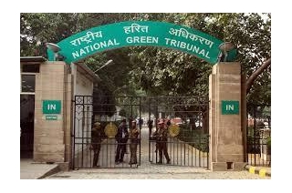 NGT Takes Suo Motu Cognizance Of Matters Related To Illegal Sand Mining In Bilaspur