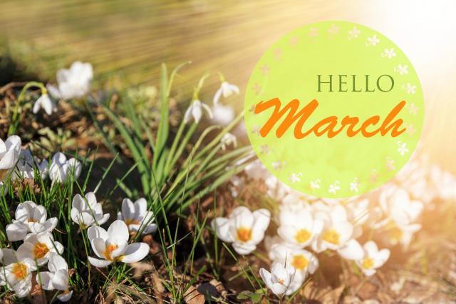 Spring Into Action: Ideal Plants to Plant in March