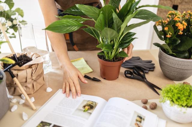 5 Must-Have Gardening Books for Beginners
