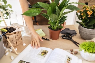 5 Must-Have Gardening Books For Beginners