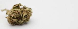 Shop Weed Online: Tips To Keep Your Identity Private And Money Safe