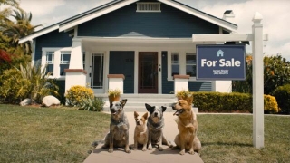 Zillow Offers Some Reassurances About Moving After Emotional Bluey Episode