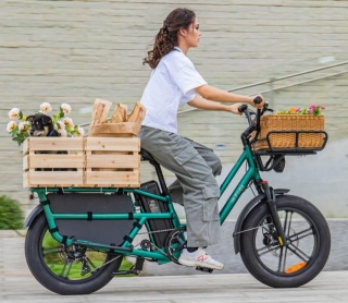 Fiido Launches Fiido T2 EBike, Its Latest Utility Cargo Electric Bike
