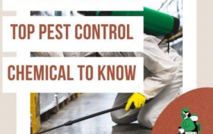 Protect Your Home: The Top Pest Control Chemicals You Need to Know