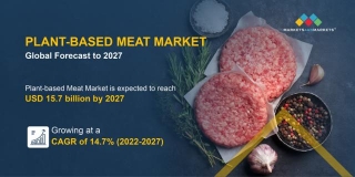Plant-based Meat Market Size, Growth Factors, Trends, And Forecast