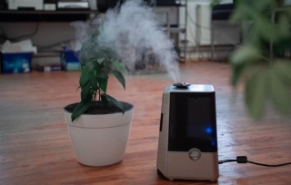 Is A Humidifier Right For You? Unveiling The Benefits & Drawbacks!