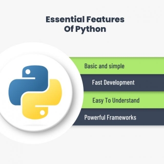 Python Vs Java: Which One Is Better In 2024