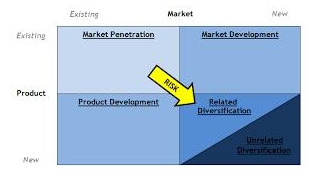 Type Of Diversification Of Strategy With Examples : A Comprehensive Guide