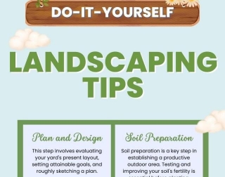 DIY Landscaping Tips