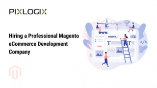 Benefits Of Hiring A Professional Magento ECommerce Development Company