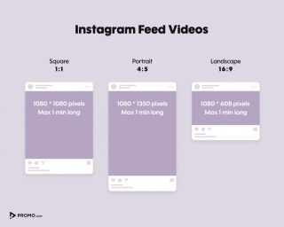 Instagram Post Size Guide For 2024