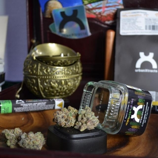 Explore UrbanXtracts At Silk Road NYC: Top Cannabis Products Now In Queens