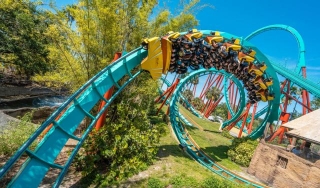Explore Free Admission At Busch Gardens For Military Families Next Month