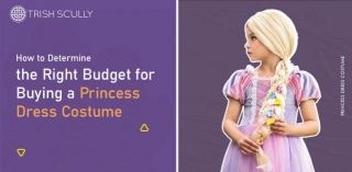 How To Determine The Right Budget For Buying A Princess Dress Costume