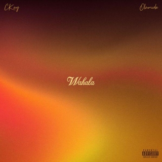 Wahala Lyrics By CKay Feat. Olamide