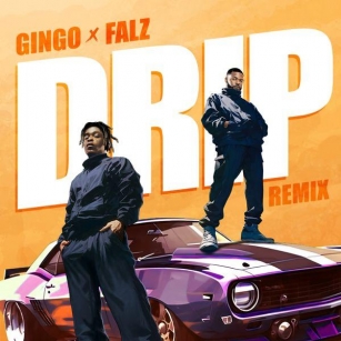 Drip (Remix) Lyrics By Gingo Feat. Falz
