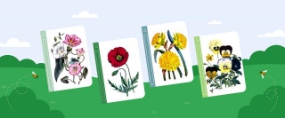 Celebrate Spring With Floral Illustrations On Google Books