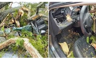 Árvore cai, atinge carro e deixa seis feridos no Ceará