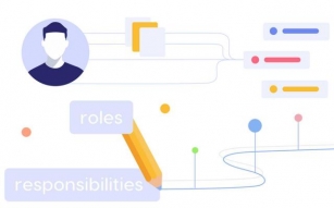 The Chief Project Officer: Roles And Responsibilities