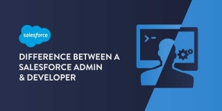Salesforce Admin Vs Developer- A Comparison