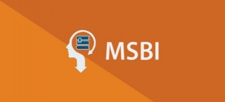 Roles And Responsibilities Of MSBI Developer