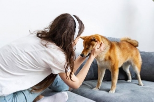 Pawsitive Vibes: How Pets Improve Our Mental Health