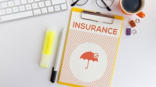 Travel Insurance For Small Businesses: Why It Is Crucial
