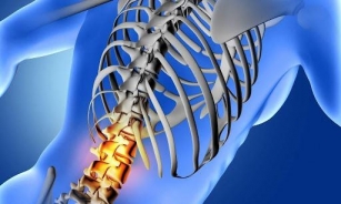Spinal Cord Injury Stops You From Working? Follow These Steps
