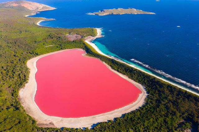 Exploring the Mysteries of Lake Hillier: A Pink Wonderland