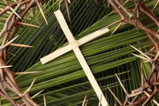 Palm Sunday, The Kings Arrivial That Changed The World
