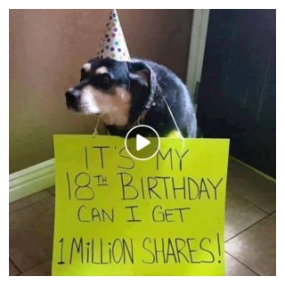 A Canine Celebration: A Heartwarming Birthday Wish From A Humble Pooch