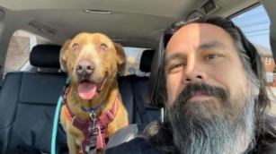 Man Who Swore He’d Never Stop Looking For His Lost Dog Finally Finds Him After 4 Years!