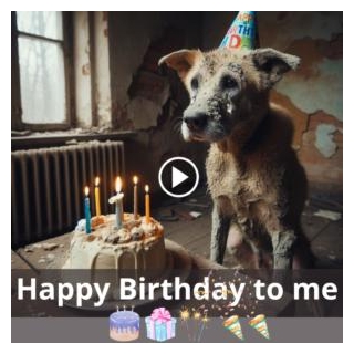 A Birthday Meditation: The Isolated Battle Of An Ill Dog