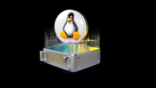 Linux Dedicated Servers: Unlocking Performance, Security, And Flexibility