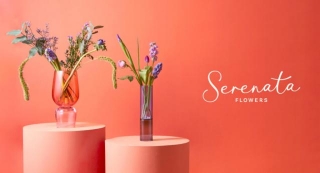 Serenata Flowers Sale Calendar: Seasonal Sales And Expert Savings Tips 