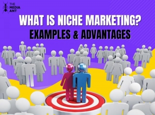 What Is Niche Marketing? Examples & Advantages
