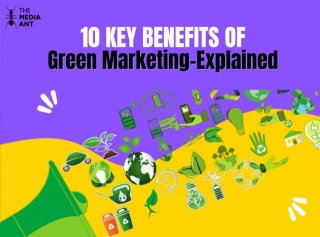 10 Benefits Of Green Marketing In 2024