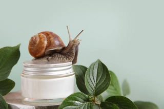 How To Buy Snail Slime?