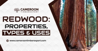 Redwood: Properties, Types & Uses