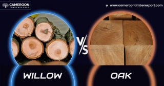 Willow Vs Oak : Picking The Perfect Hardwood