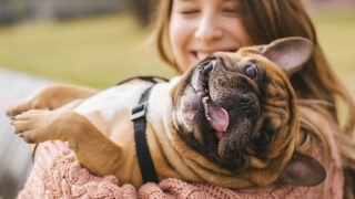 18 Reasons Why People Love Animals More Than Humans