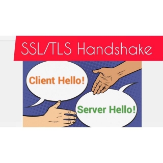 What Is SSL/TLS Handshake?