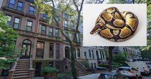Giant Snake Found In Upper West Side Apartment