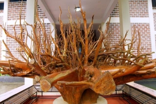 Teak Museum, Kerala