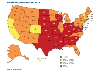 The Most Obese States In America 2024