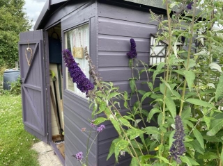 Allotment Shed Makeover